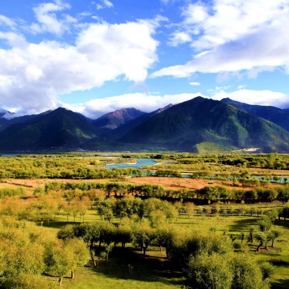 林芝尼洋河景區包車(chē)游(圖文)